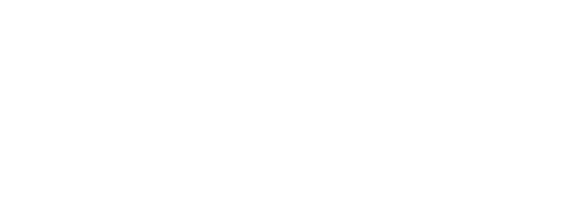 Logo FSS