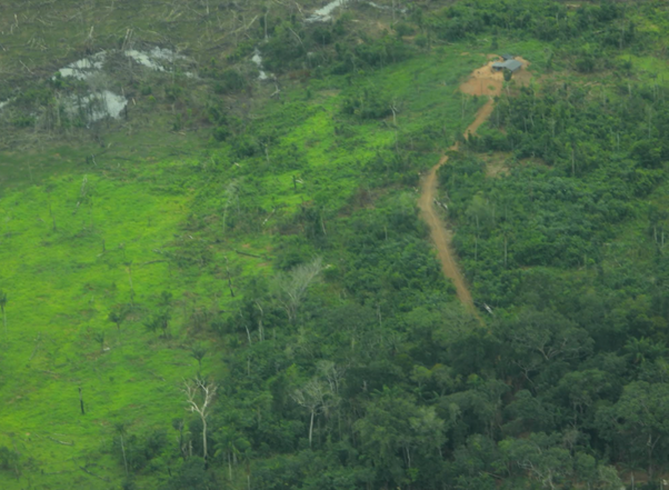 Las vías que se expanden por la Amazonía están cada vez más cerca de unirse con ‘La Marginal de la Selva’. Fotografía de la FZS